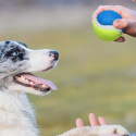 Zestaw 3x Piłeczka Dla Psa DOGGURU Nauka Aportowania