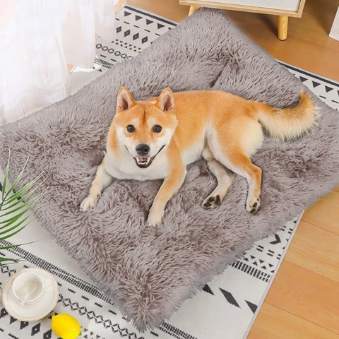 Legowisko Dla Psa DOGGURU Shaggy 120x70 cm - Beżowy