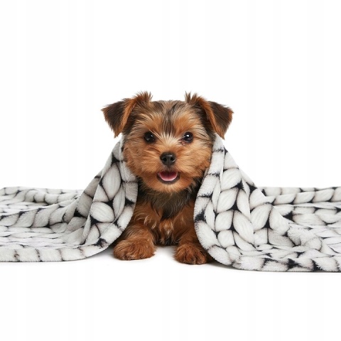 Polarowy koc dla kota psa 100x70cm miękki do legowiska