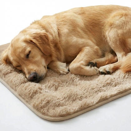 Mata dla psa i kota Maison Fluff eco DOGGURU 70x100 cm Beż