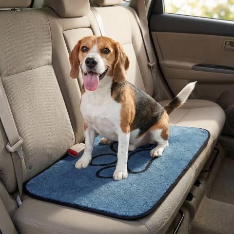 Mata dla psa kota miękkie DOGGURU Soft Shaggy Paw 45x70 cm niebieski