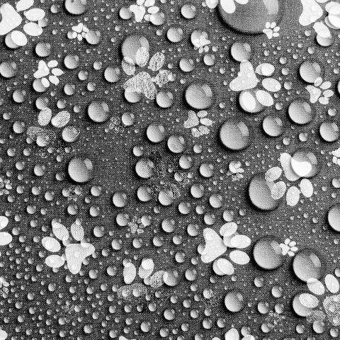 Pokrowiec dla Psa SREBRNE ŁAPKI DOGGURU 70x50 cm Szary