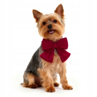 Ręcznie Szyta Kokarda Na Obrożę Dla Psa Kota Welurowa Dekoracja Kokardka Mucha Na Święta 14x12,5cm