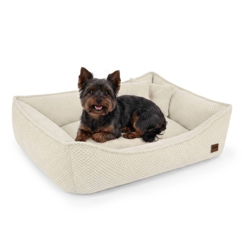 Sofa Kanapa Dla Psa i Kota 70x50 cm XL FRANCO - Beż + Poduszki
