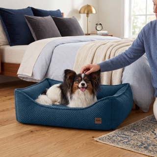 Sofa Kanapa Dla Psa i Kota 70x50 cm XL FRANCO - Granat + Poduszki