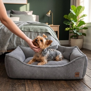 Sofa Kanapa Dla Psa i Kota 70x50 cm XL FRANCO - Szary + Poduszki