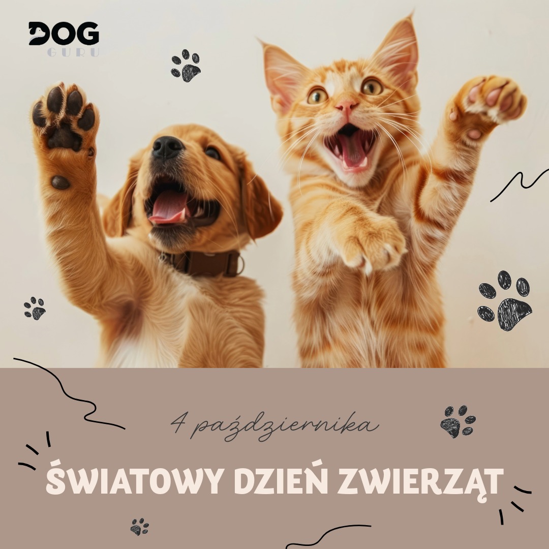 🐾 Z okazji Dnia Zwierząt – świętuj z pupilem i spraw mu coś wyjątkowego!
